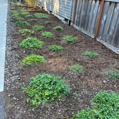 Luna landscaping