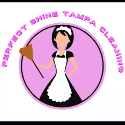 Perfect Shine Tampa cleaning