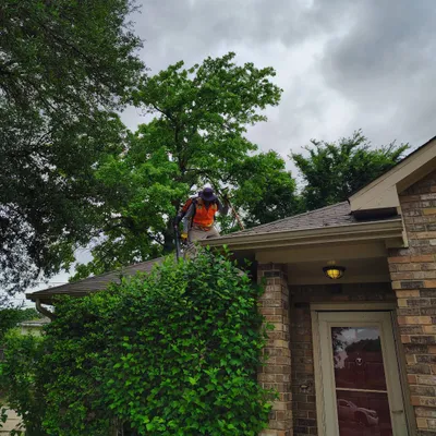 G and J LAWN Mowing and House cleaning