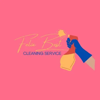 Felix Best Cleaning