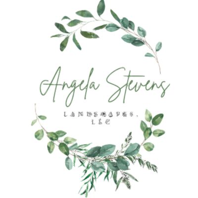 Angela Stevens Landscapes