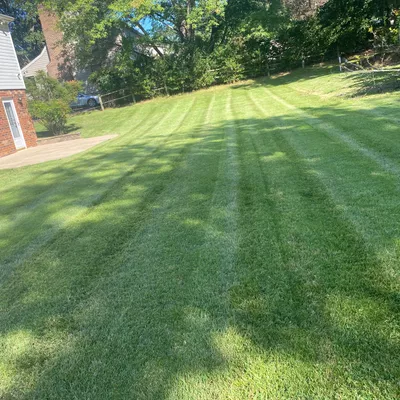 Knock it down Landscaping