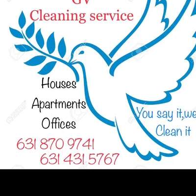 GV cleaning service