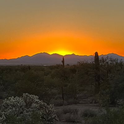 Desert Sunset Landscaping and Property Maintenance