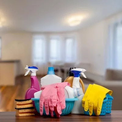Ramirez House cleaning