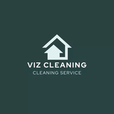 Viz Cleaning
