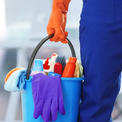 Cats cleaning co