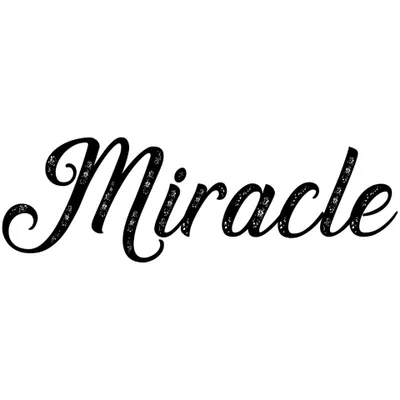 Miracle Clean Club