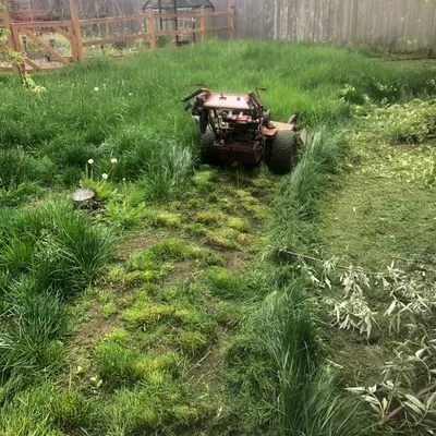 Ricky's Lawn and Handy man services