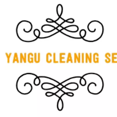 Baba Yangu Cleaning Services LLC