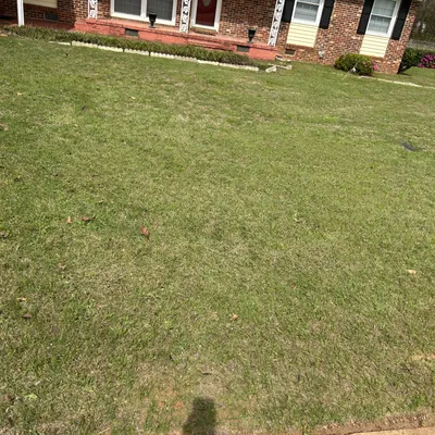 Prefection lawn Care
