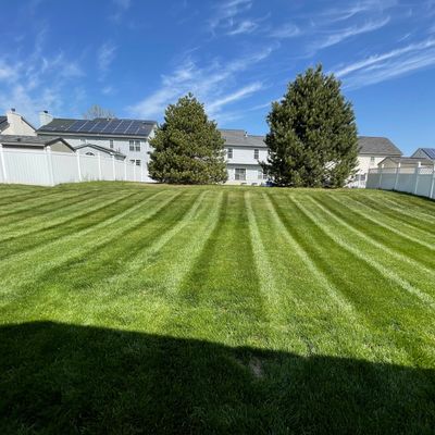 TrueView landscaping