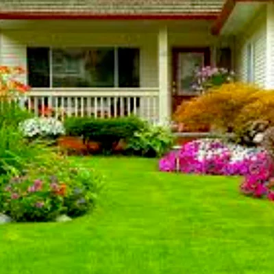 Betty's Fancy Lawncare Services