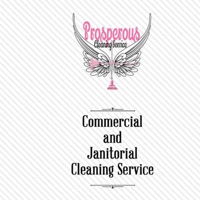 Prosperous cleaning LLC