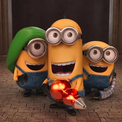 mr“jo