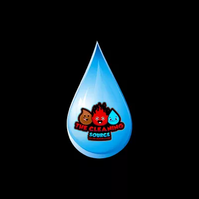 The Cleaning Source