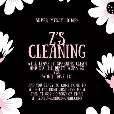Z’s cleaning