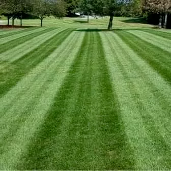 Great Gardens Landscaping LLC