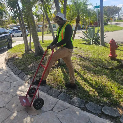 Dongogo 90 LLC Moving.