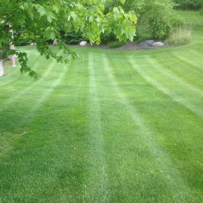 Aesthetics Lawn Care
