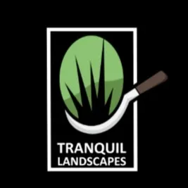 Tranquil Landscapes