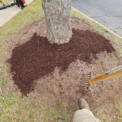 rojas lawncare