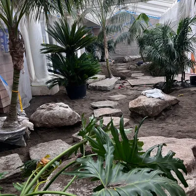Jorge’s landscaping