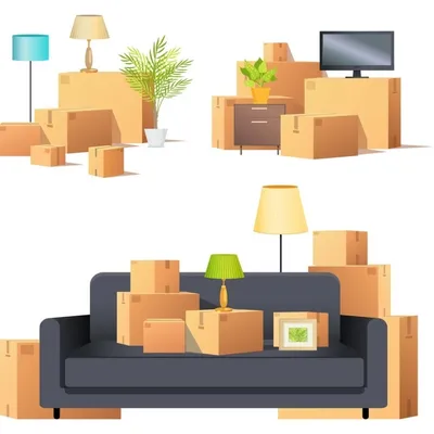 Delve-Explore Moving Services LLC
