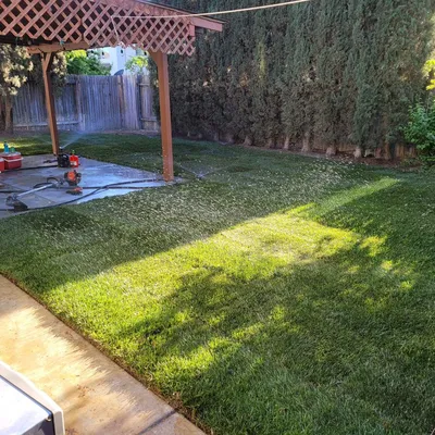 Velazquez’s lawn care