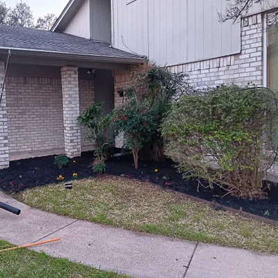 Alex landscaping
