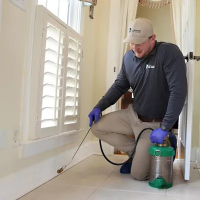Pest Control