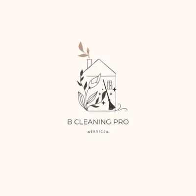 B pro cleaning service