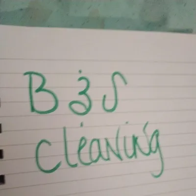 b&s cleaning
