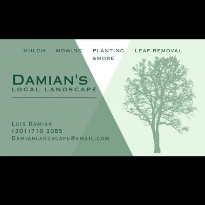 Damian’s landscaping