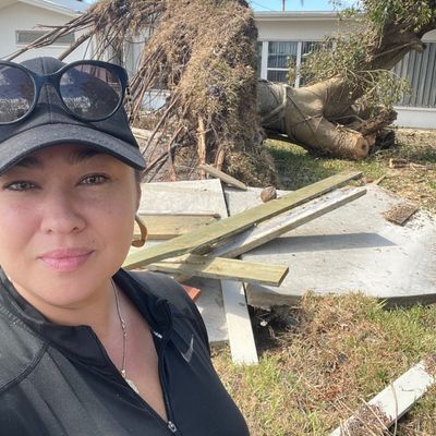 Impeccable tree service and landscaping