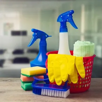 BOLD-Cleaning Services and More