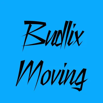 Budlix moving