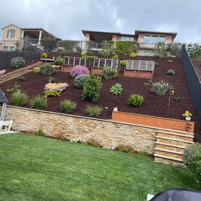 Eddy garden