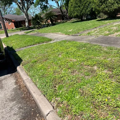 Isidro's Lawn service