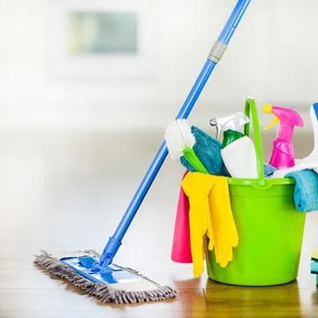 Cleaning Ladies