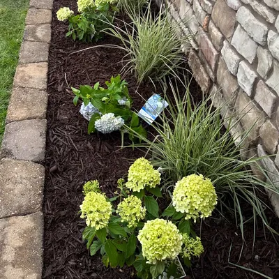 4T4 OUTDOOR SERVICES