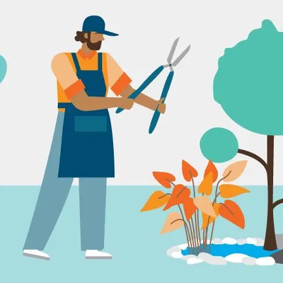Gonzalez Gardening