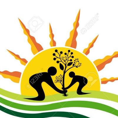 New Resolutions Lawn Care