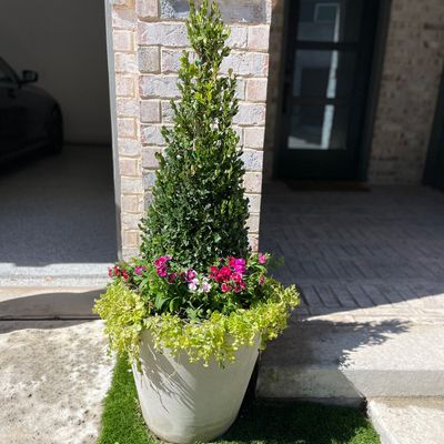 Benitez Landscaping  Drainage