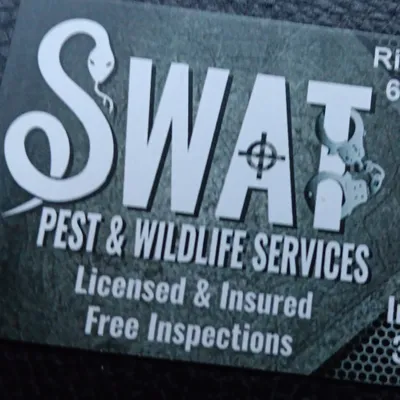 arrest a pest