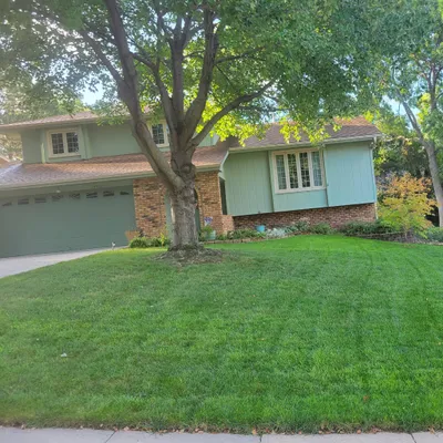Morningside lawn and tree care