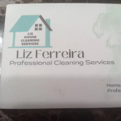 Liz house clean