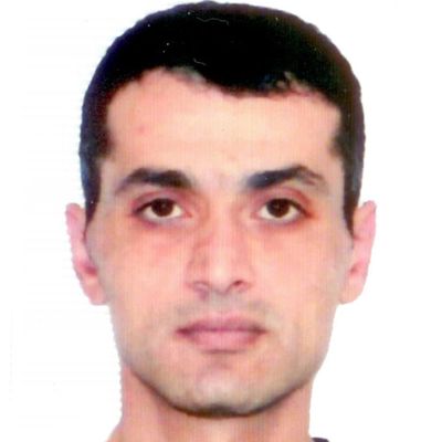 Sargis