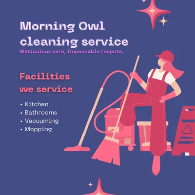 Morning owl cleaning service llc