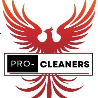 Pro-Cleaners+